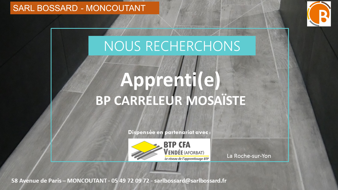 BP CARRELEUR OFFRE D EMPLOI BP CARRELEUR MOSAISTE
